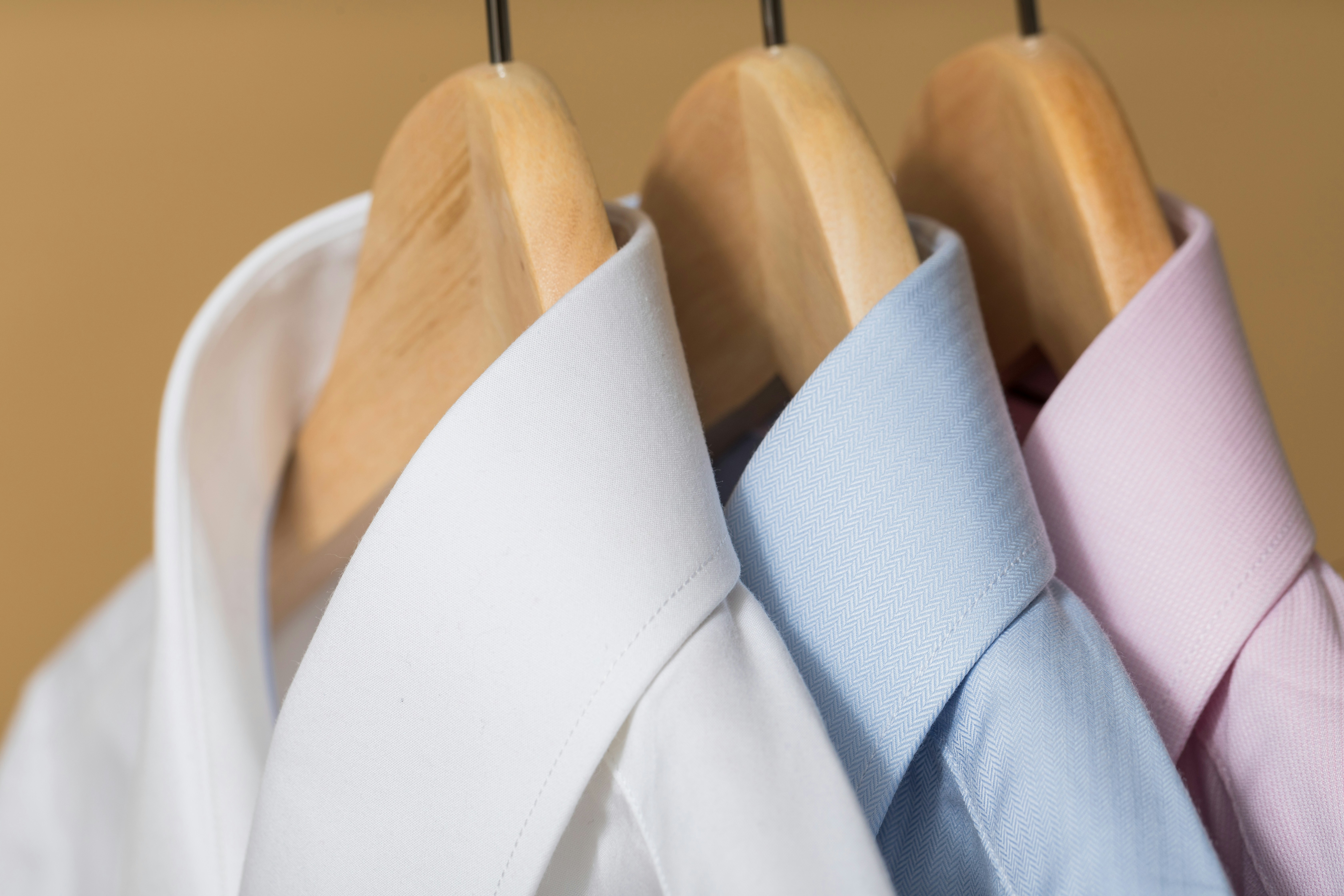 Expert shirt 
